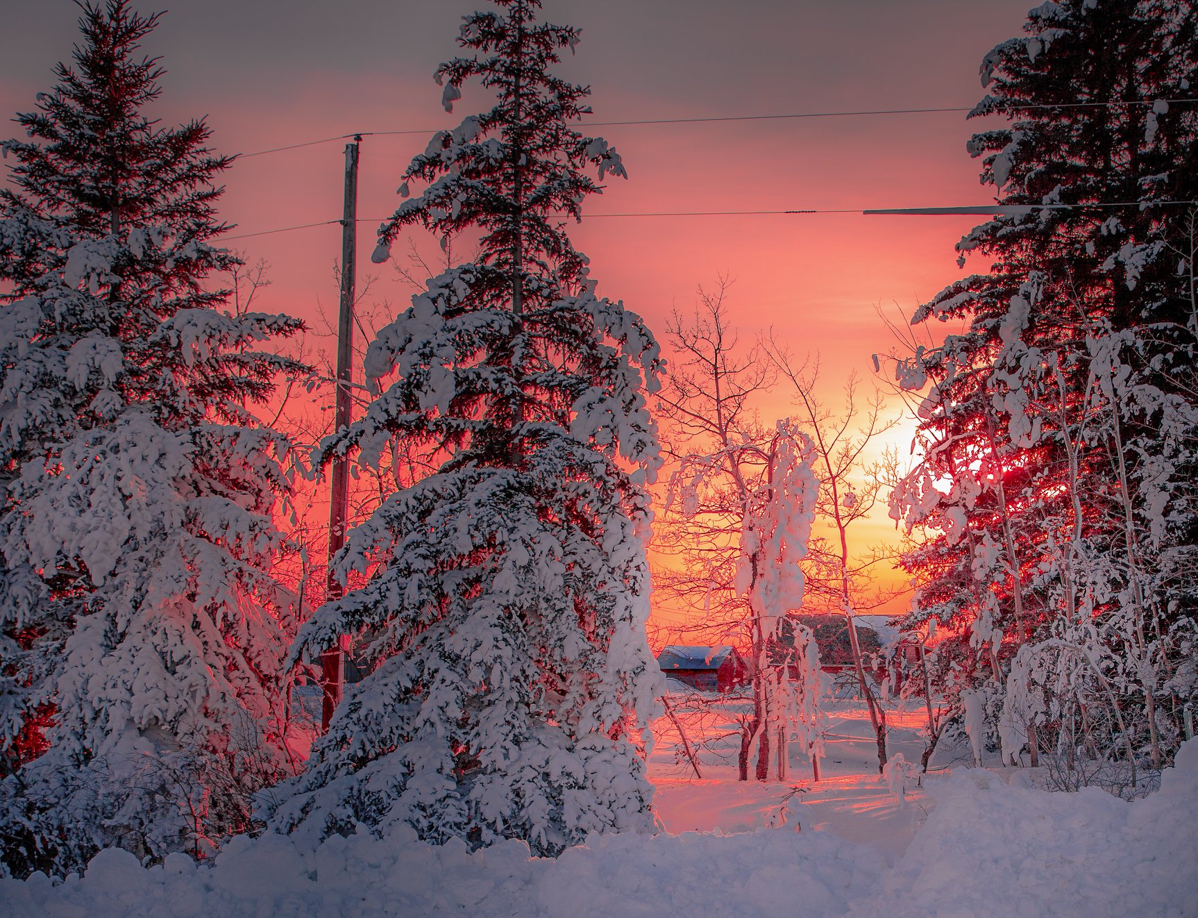Local photographer captures regions incredible beauty during the winter