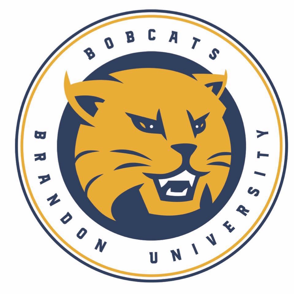 Bobcats reveal new logo