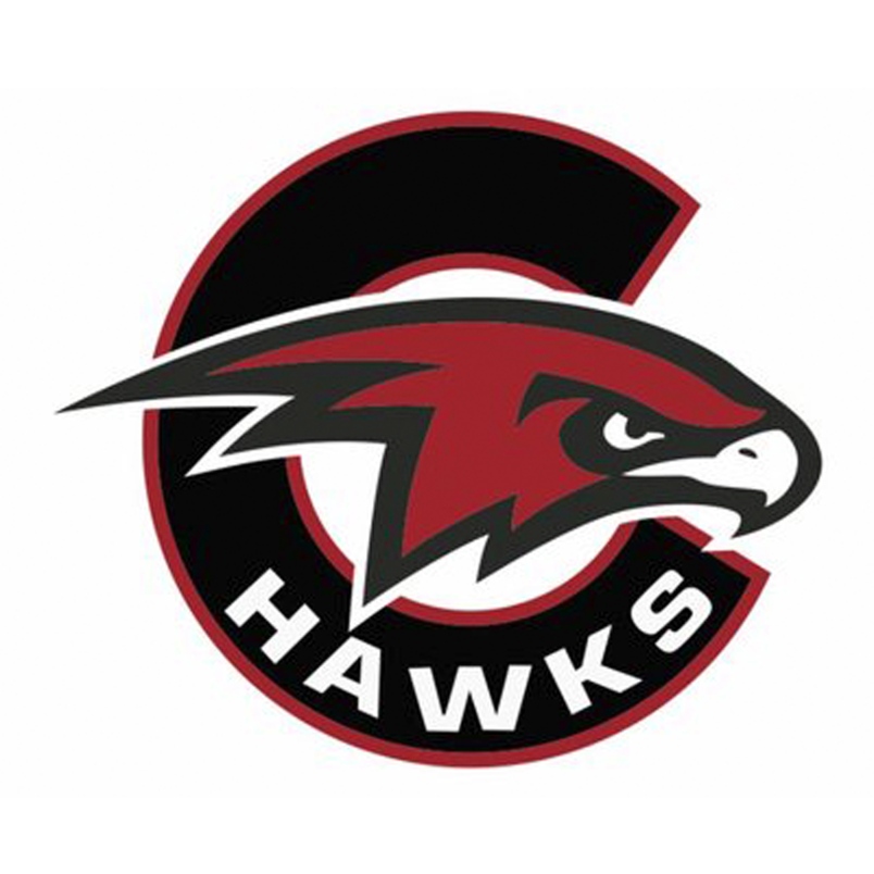 Miniota-Elkhorn C-Hawks capture North Central Hockey League title ...