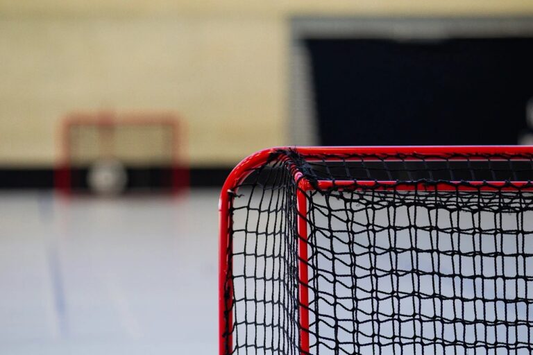 THHL loses 4 teams, season starts October 25 - bdnmb.ca Brandon MB