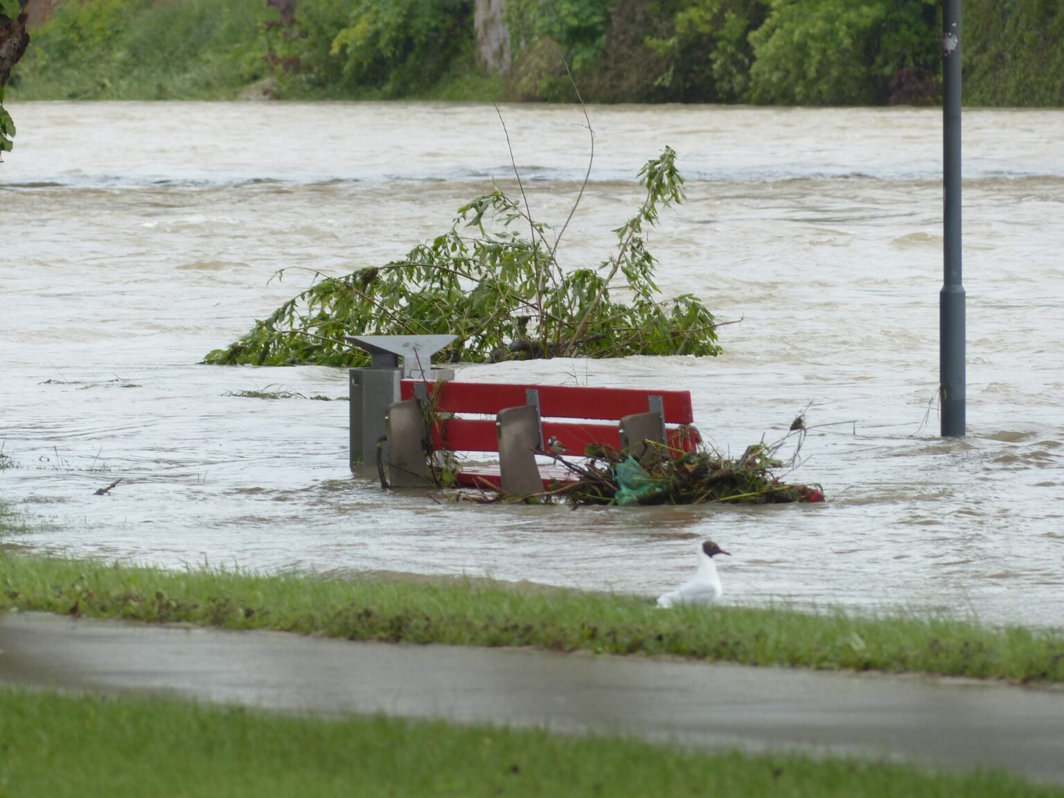 Up to 50 roads have been damaged due to flooding - bdnmb.ca Brandon MB